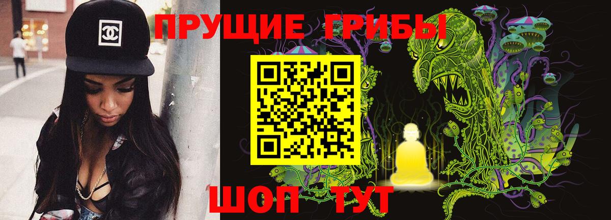 Псилоцибиновые грибы Cubensis  Вход с VPN  Нарьян-Мар 